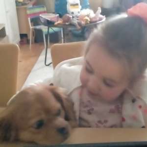 Profielfoto van Lily op Oppasland