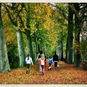 Profielfoto van Nienke op Oppasland