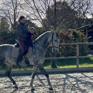 Profielfoto van Sophie op Oppasland