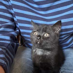 Profielfoto van Frédérique op Oppasland