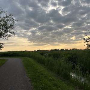 Profielfoto van Maud op Oppasland