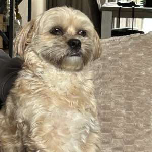 Profielfoto van Nadine op Oppasland