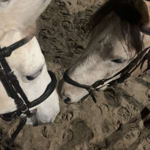 Profielfoto van Maud op Oppasland