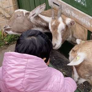 Profielfoto van Raazia op Oppasland