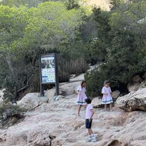 Profielfoto van Yassi op Oppasland